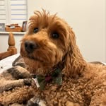 Meredith Arthur - @mereditharthur020400 - Instagram