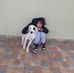 Arthur Moscato - Facebook
