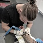 Arthur Neumann - @notnotarthur - Instagram