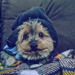 Arthur Neumann Balboni - @arthur_neumann_balboni - Instagram