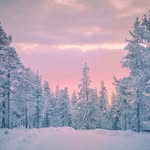Arthur Parsons - @arthurparsons5610 - Instagram