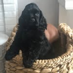 Arthur Parsons - @artyparsons - Instagram