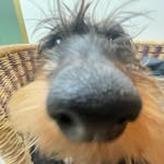 Arthur payne - @arthurpayne949 - Instagram