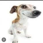 Arthur Regis - @arthurregis214 - Instagram