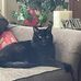 Rayne Arthur - Facebook