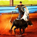 Arthur Vilela Pato Resende - @arthur_resende_12 - Instagram