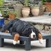 Arthur Rhodes - Facebook