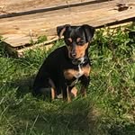 Arthur Rhodes Lund - @arthurhodeslund - Instagram