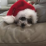 Arthur Richards - Facebook