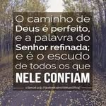 arthurrickson - @arthurrickson8 - Instagram