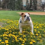 Arthur Riegel - @riegel_arthur - Instagram