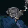 Arturo Ripple - @arturoripple - TikTok