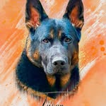 Arthur Ritter - @ritterarthur - Instagram