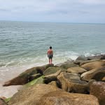 Arthur Robbins - @arthur_robbins_ - Instagram