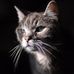 Arthur Robillard - Facebook