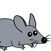 arthurrobledobern - @arthurrobledobern - TikTok