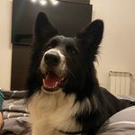 Arthur Rocco House - @ashpalermook - Instagram