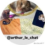 Arthur Rodgers - @arthur_le_chat_ - Instagram