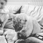 ArthurVCD#5 - @rohnerarthur - Instagram