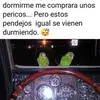 Artur Saenz - @arthursaenz5 - TikTok