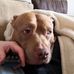 Arthur Salisbury - Facebook