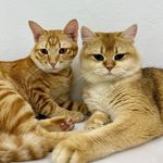 Arthur.Salmon - @arthur_salmon.nn - Instagram