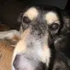 not_sawyer.arthur - @not_sawyer.arthur - TikTok