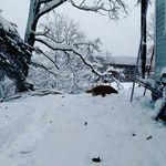 arthur schwartz - @skiing_sponsorme - Instagram