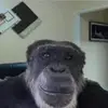 Arthur - @arthurseibertco41 - TikTok
