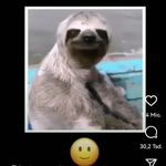 Arthur Seibert - @arthur_seibert - Instagram