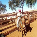 Arthur Seifert - @_arthurseifert - Instagram