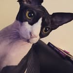 Arthur Seifert - @fresharthur - Instagram