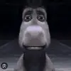 arthursilva - @arthurvedovatto - TikTok