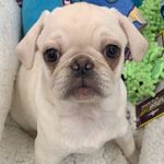 Arthur Wayne Snyder - @arthurwaynesnyder - Instagram
