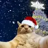 Arthur - @arthurspencer68 - TikTok