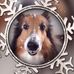 Arthur Sung - Facebook