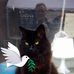 Arthur Timmerman - Facebook