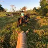 Arthur Tinoco - @arthur.tinoco11 - TikTok