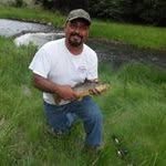 Arthur Torrez - @bulltorrez_ - Instagram
