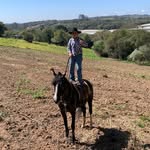 Arthur Carvallho Albuquerque - @arthur_do_trotter - Instagram