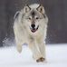 Arthur Trombley - Facebook