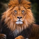 Arthur Tsang - @tsangpt - Instagram