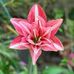 Arthur Tseng - Facebook