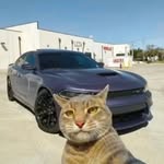 A - @arthurtuberculose1899 - Instagram