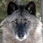 Arthur Tucker - @arthur.tucker.505 - Instagram