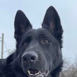 Arthur Tucker - @arthur.tucker.505 - Instagram