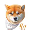 Arthur Tulinov - @arthurtulinov - TikTok