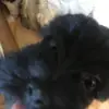 Arthur Valle - @arthurvalle01 - TikTok