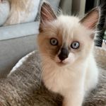 Arthur Vandelay Baldwin - @arthurvandelaybaldwin - Instagram