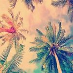 Arthur Vanderbilt - @praisetoelohim116 - Instagram